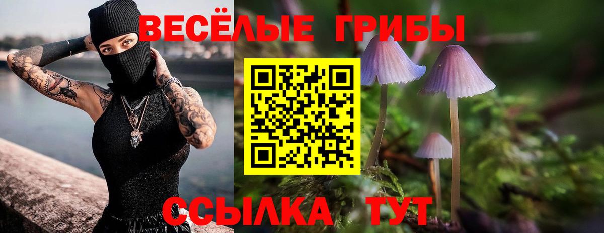 Псилоцибиновые грибы Cubensis Приморско-Ахтарск