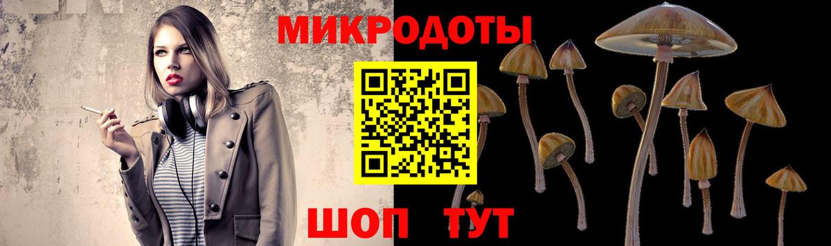 Галлюциногенные грибы MAGIC MUSHROOMS  наркотики  Вход с VPN  Приморско-Ахтарск  Галлюциногенные грибы Psilocybine cubensis 