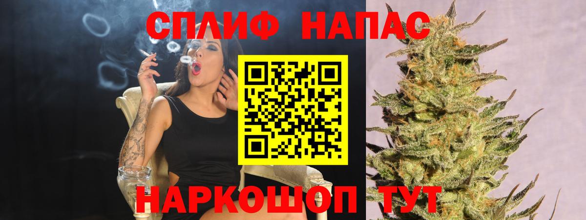Канабис ГИДРОПОН  Бошки марихуана OG Kush  Приморско-Ахтарск  Канабис планчик  Канабис семена  Вход с VPN 